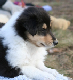 bild14