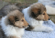bild15