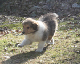 bild3