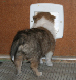 bild4