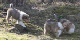 bild5
