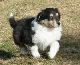bild6