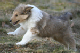 bild8
