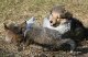 bild9