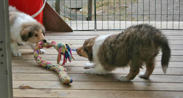 bild1