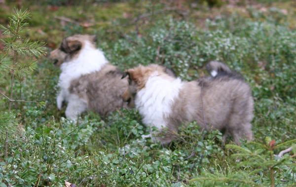 bild8