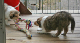 bild1