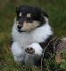 bild10