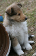 bild16