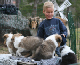 bild17