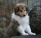 bild19
