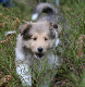 bild4