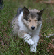 bild5
