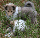 bild6