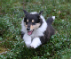 bild7