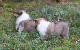 bild8