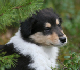 bild9