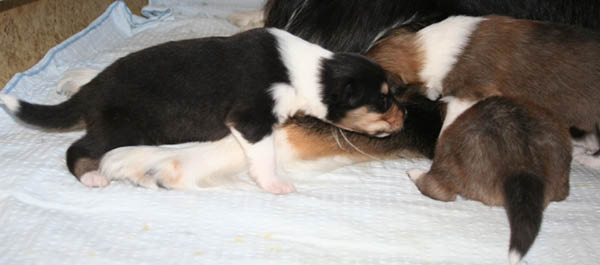 bild4