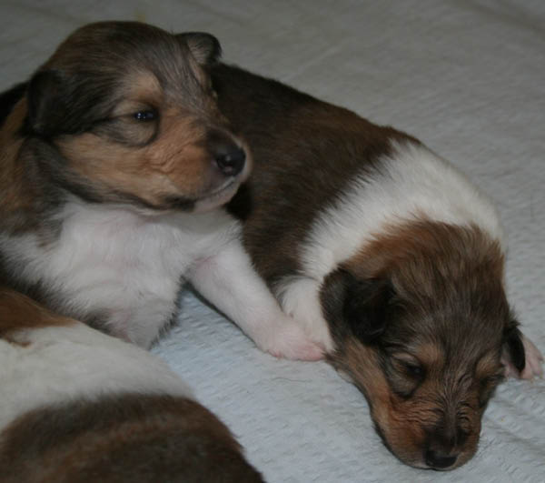 bild5