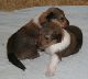 bild1