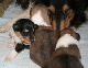 bild3