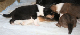 bild4