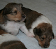 bild5