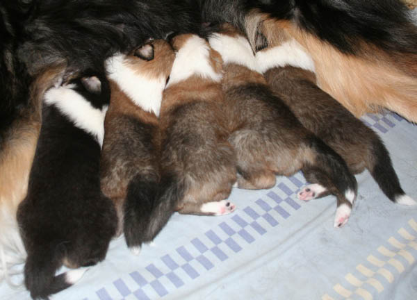 bild1