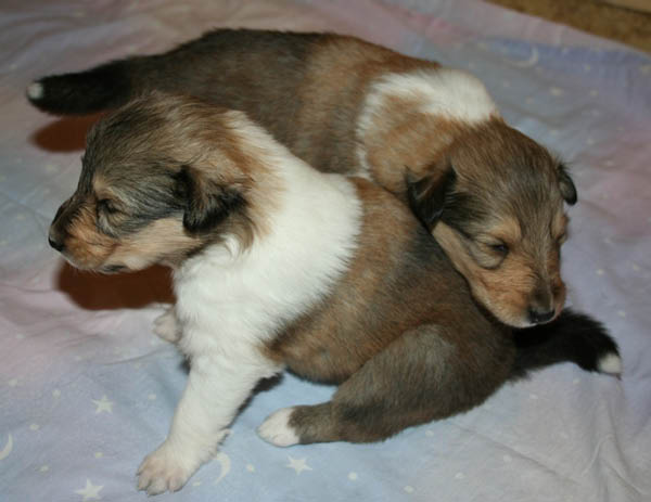 bild4