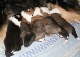 bild1