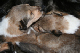bild2