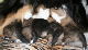 bild3