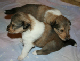 bild4