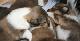 bild6