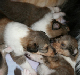 bild7