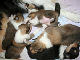 bild8