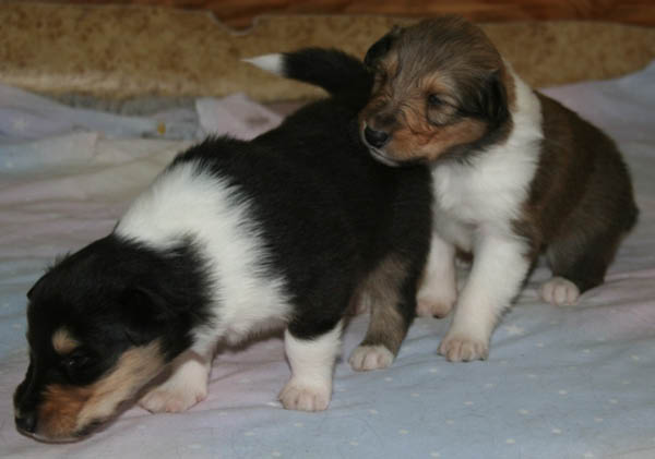 bild1
