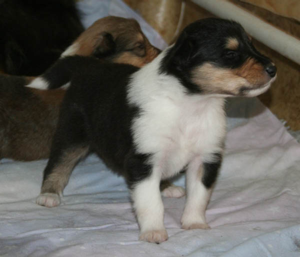 bild5
