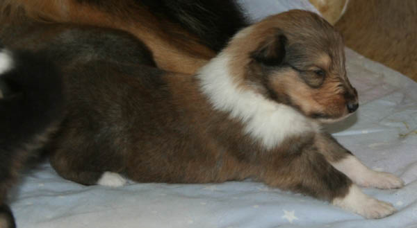 bild6