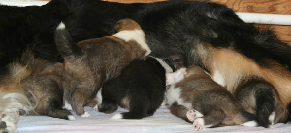 bild8