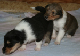bild1