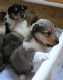 bild3