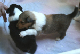 bild4