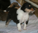 bild5
