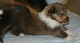 bild6