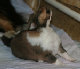 bild7