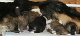 bild8