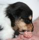 bild1