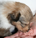 bild2
