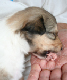 bild3